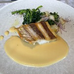 ジャヌ メルカート - 