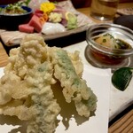 アポロプラス - 