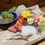 アポロプラス - 