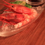 SHRIMP SHRIMP PART2 - 