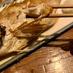 吟魚のはなれ  吟チロリ - 