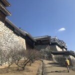 ノギス - 松山城の穴場スポットから撮影　　　　　　　　　　　　　ガイドさんに教えてもらってね☆