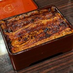 うなぎ 魚政 - 国産ブランド鰻 特大