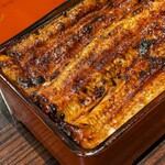 うなぎ 魚政 - 国産ブランド鰻 特大