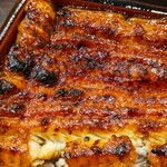 うなぎ 魚政 - 国産ブランド鰻 特大