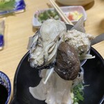 楠の木 - 
