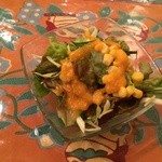 ヴェジハーブサーガ - ランチサラダ