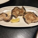 みなみ丸 合歓 - 