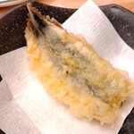 進化系大衆酒場 てんこち - 