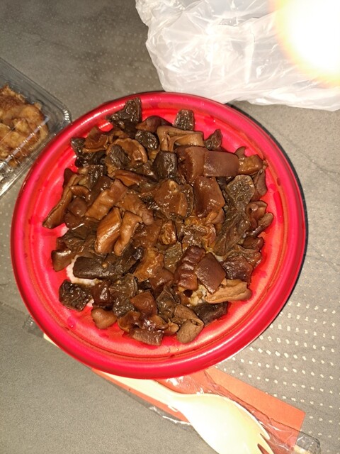 Ichinomiya Meibutsu Bento Wataben photo 5