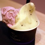 ORENTANO IL GELATO - ブルーベリーヨーグルトとキウイ