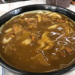 百万石うどん - 20cm強ほどのどんぶりにたっぷりと注がれたカレールー。
カレールーの中には、にんじん・豚肉・玉ねぎでしょうか。しっかりと煮込んであるのか具材が溶けていますがコクのある美味しいルーですな。