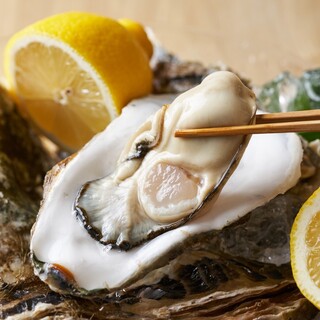 海のミルク♪生牡蠣の贅沢な味わいを楽しめる