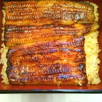 鰻割烹 伊豆栄 本店 - うな重アップ