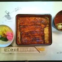 鰻割烹 伊豆栄 本店 - うな重（竹）