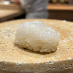 鮨 富かわ - アオリイカ