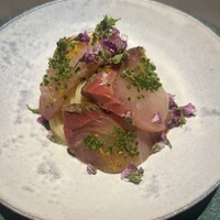 GapricE - 