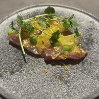 GapricE - 