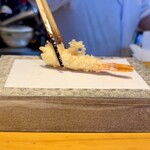 天ぷら よこい - 車海老。
                                2品目も続けて車海老♪(≧∀≦)☆
                                1匹目と同じように海老の腹に衣を抱える揚げ方、これはなにか意図があってのことでしょうか。サクサク感がスゴい！ヾ('ﾛ'*)ﾉ"ｩﾝﾏｯ!