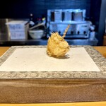 天ぷら よこい - 静岡県産の新玉ねぎ。
      サクッと衣の中で蒸された甘〜い新玉ねぎ♡(๑˃̵ᴗ˂̵)ｳﾏ~