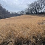 鎌田鳥山 - 草原があらわれる！千と千尋の映画でも、いきなり草原が出てくる