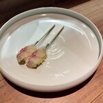 セルサルサーレ - 