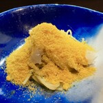 セルサルサーレ - 