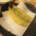 進化系大衆酒場 てんこち - 