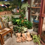 ジャスミンタイ 六本木店 - 