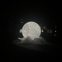 渋谷 Blue bird - 