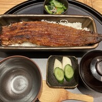 うなぎ四代目菊川 ミッドランドスクエア 名古屋本店 - 