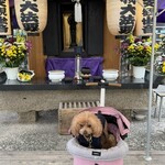 そば処 湧水 - お墓参りも行ったよ