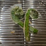 てんぷら 下村 - コゴミ