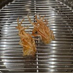 てんぷら 下村 - 車海老頭