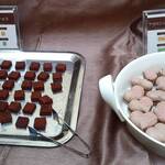 レストラン ファインテラス - 生チョコ、マカロンショコラ