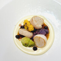 Benoit Alain Ducasse - 
