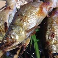美濃吉 東武池袋店 - 鮎