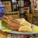 東京新橋達磨酒場 桜木町店 - 