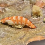 代官山 鮨 たけうち - 天草の車海老