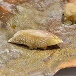 代官山 鮨 たけうち - カスゴダイ