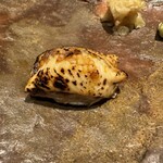 代官山 鮨 たけうち - 穴子