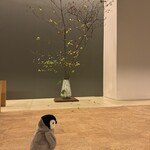 カフェ・ドン バイ スフェラ - 