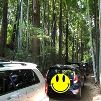 むくの実亭 - 