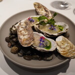 AKI NAGAO - 厚岸かきえもん