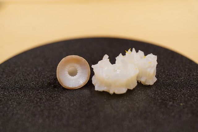 まる鮨 - 東本願寺前/寿司 | 食べログ