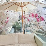 HAUTE COUTURE CAFE OMOTESANDO - 