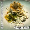 GapricE