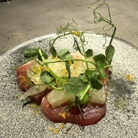 GapricE - 