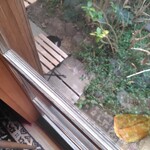 ガレージ ブルーベル - 