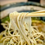 麺屋 サマー太陽 - 麺は、全粒粉の自家製麺で、良くスープを拾います。
硬めのコシも好みのド真ん中です。